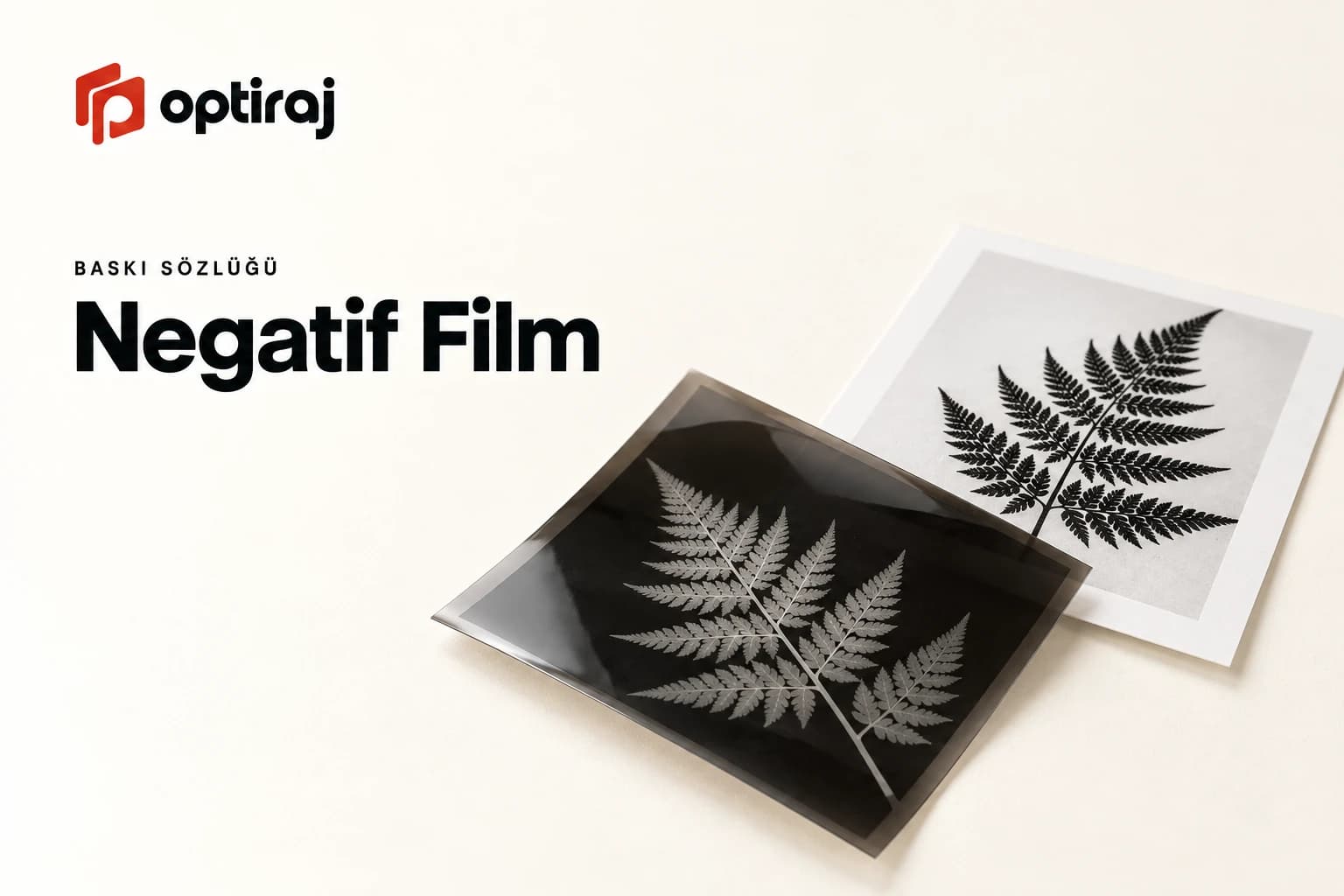 Negatif Film