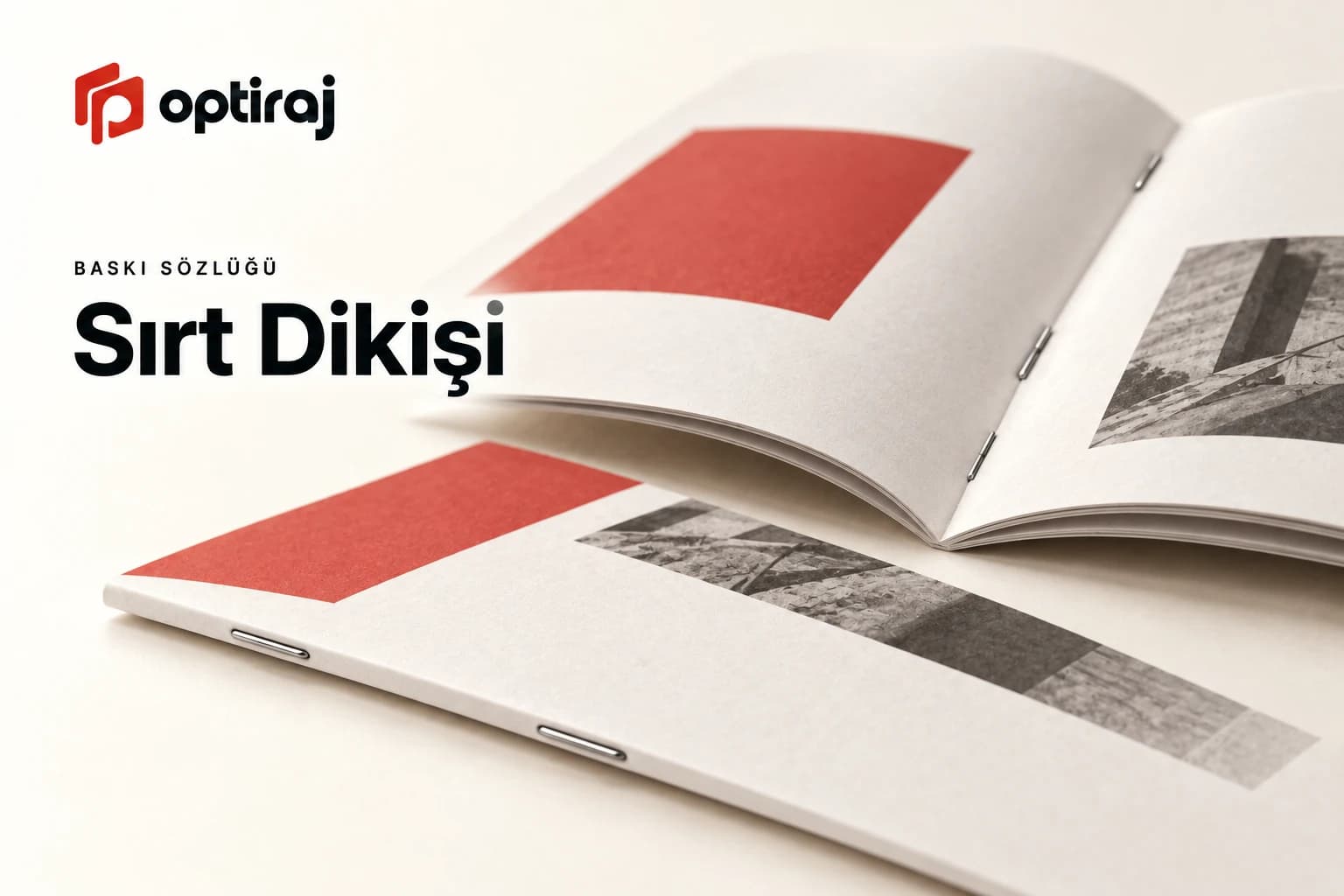 Sırt Dikişi