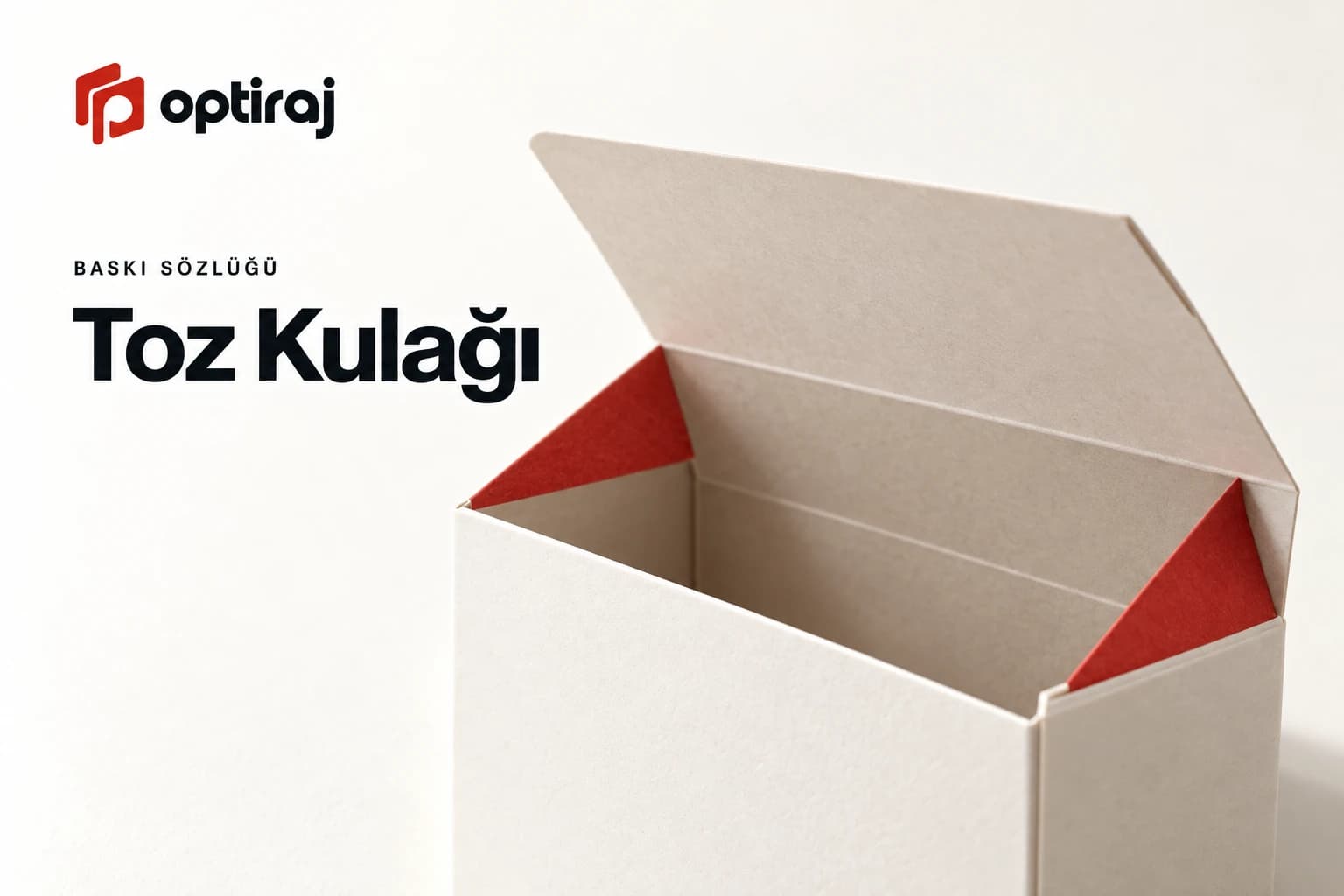 Toz Kulağı