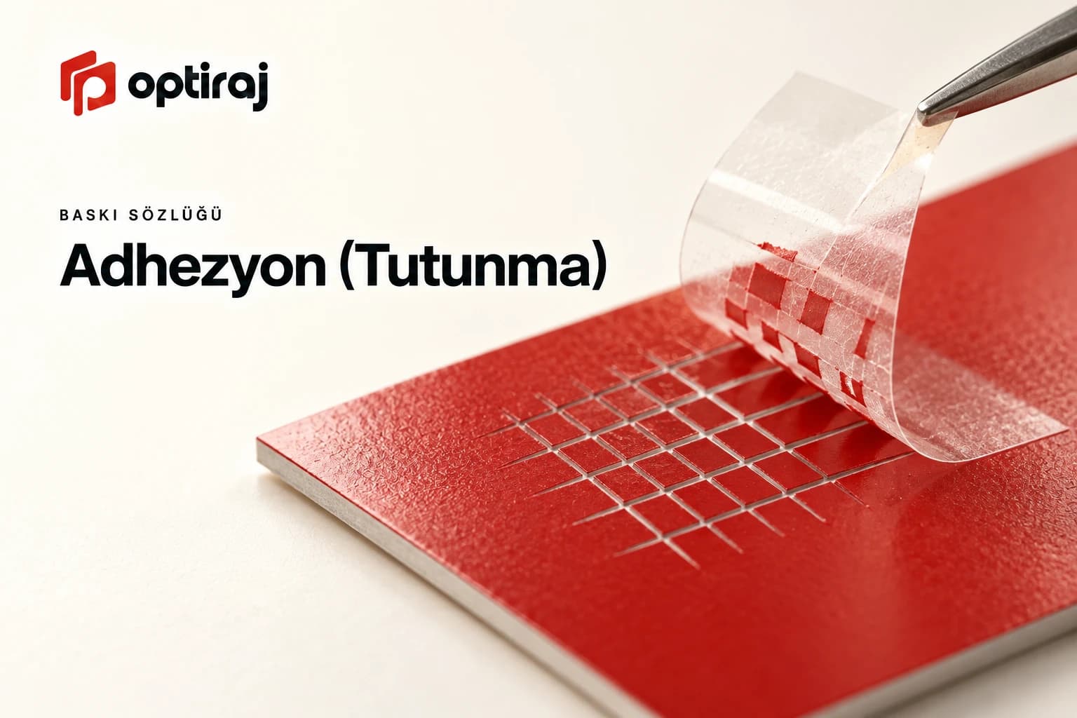 Adhezyon (Tutunma)