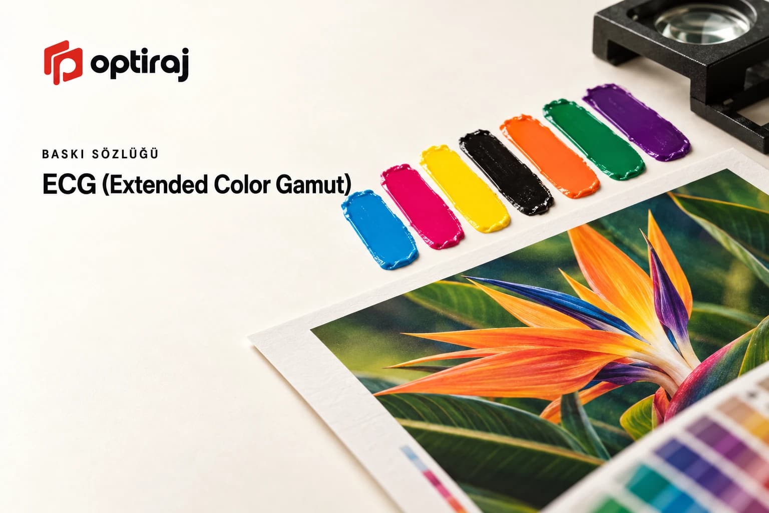 ECG (Extended Color Gamut)